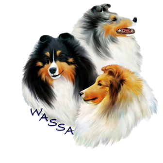 Logo - Wnnipeg Area Shetland Sheepdog Association